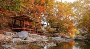 Hwacheon Turkey Valley - Image 2