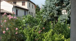 B&B Rosales - Image 5