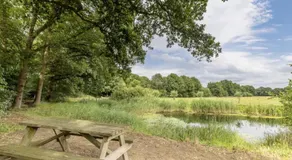 Outdoors Holten - Cabin Skydeck - Image 5