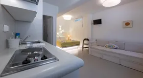 Anemoessa - Image 4