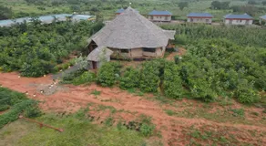 Tausa Tsavo Eco Lodge - Image 5