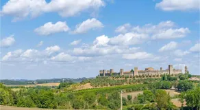 Chianti Roses Monteriggioni - Image 4