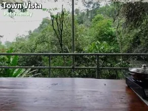 Gibbon Retreat Bentong - Image 4