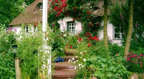 Gästehaus Andresen-Warft - Image 5
