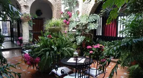 Pensión Los Arcos - Image 4