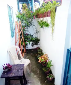 Gaja Go Dive & Inn - Image 2