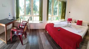 Blue Birds Homestay - Image 2