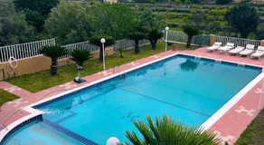 Sempre verde - Image 5