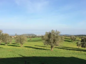 Ferme partagée près de Serra Monfuradoca - Image 2