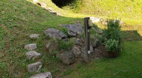 Brunarica - Image 3