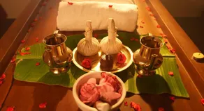 Namasthe Holistic wellness Retreat Cochin Only for Ayurveda and Yoga Wellness Stay - Image 5