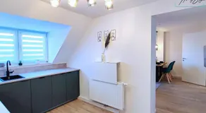 Homely Stay - Urban Oasis Apartments - Image 5