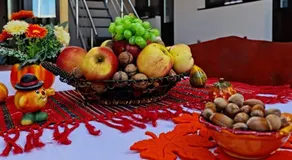 Splendid House - Image 4