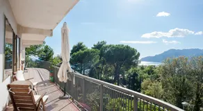Verde Smeraldo - Image 2