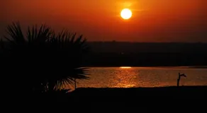 Nature Camp Konark Retreat - Image 4