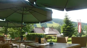 Belvedere - Image 5