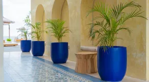 Alana Penida Hotel - Image 5