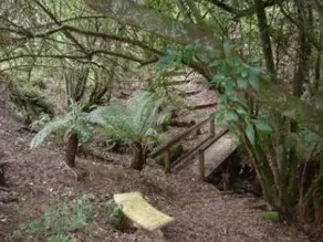 Johanna River Farm & Cottages - Image 3
