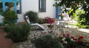 B&b-Le Rondini - Image 5