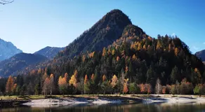 Mountain View Mojstrana - Image 4