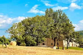 Palazzolo Resort - Anghiari - Image 3