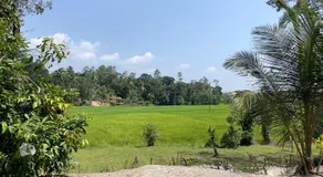 Nice Place - Image 5
