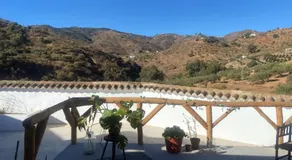 Finca Elements - Image 5