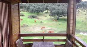 Complejo Rural Los Jarales - Image 4
