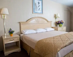 Motel Palatka - Image 2