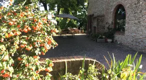 Podere Sanripoli - Image 4