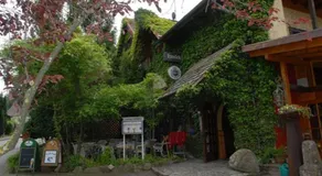 Auberge Harlekin - Image 4