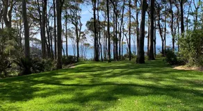 Beachgum - Image 5