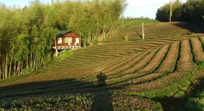 Zhulin View B&B - Image 5