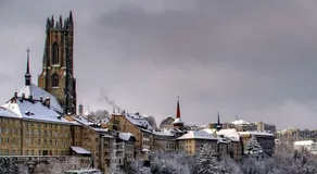 SO Fribourg City Center with Garden ! - Image 5