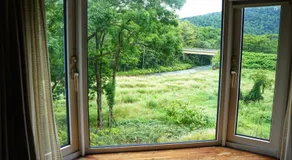 Blueberry House - Image 3