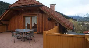Lägenhet / vardagsrum / dusch, toalett - Haus Schober - Image 3