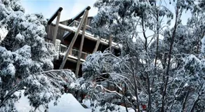 Silverski Rooms and Apartments - Image 4