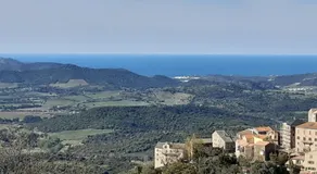 Cicendolle - Image 4