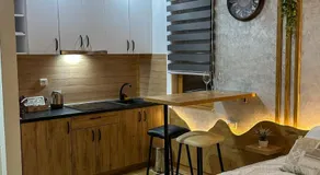 Aparthotel Vucko, depandans, U452 sa pogledom na stazu - private host - Image 3