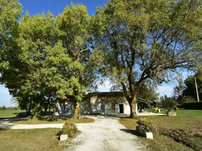 Spacious Holiday Home in Saint-Nexans with Terrace - Image 5