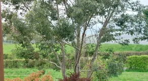 Detente a la campagne - Image 5