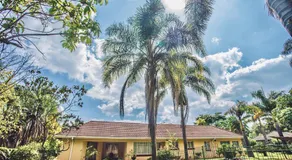 Palm villa - Image 4