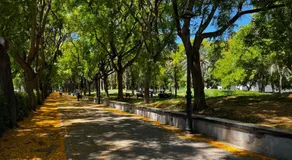 Alojame Valencia - Image 5