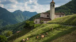 Casa Vacanze CIMMO - Image 2