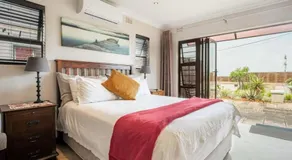 Aloes 21 - Image 2