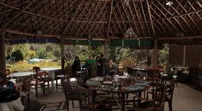 Elephant Valley Eco Farm Hotel - Image 2
