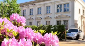 Schumanns Garten - Image 4