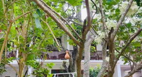 Little Paradise Tourist Guest House and Holiday Home - Image 5