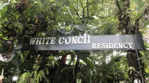 White Conch Residency - Image 5