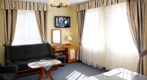 Lévay Villa Hotel - Image 2